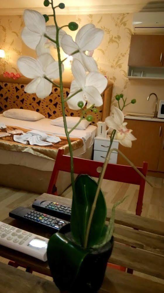 Ekonomik otel Mini House